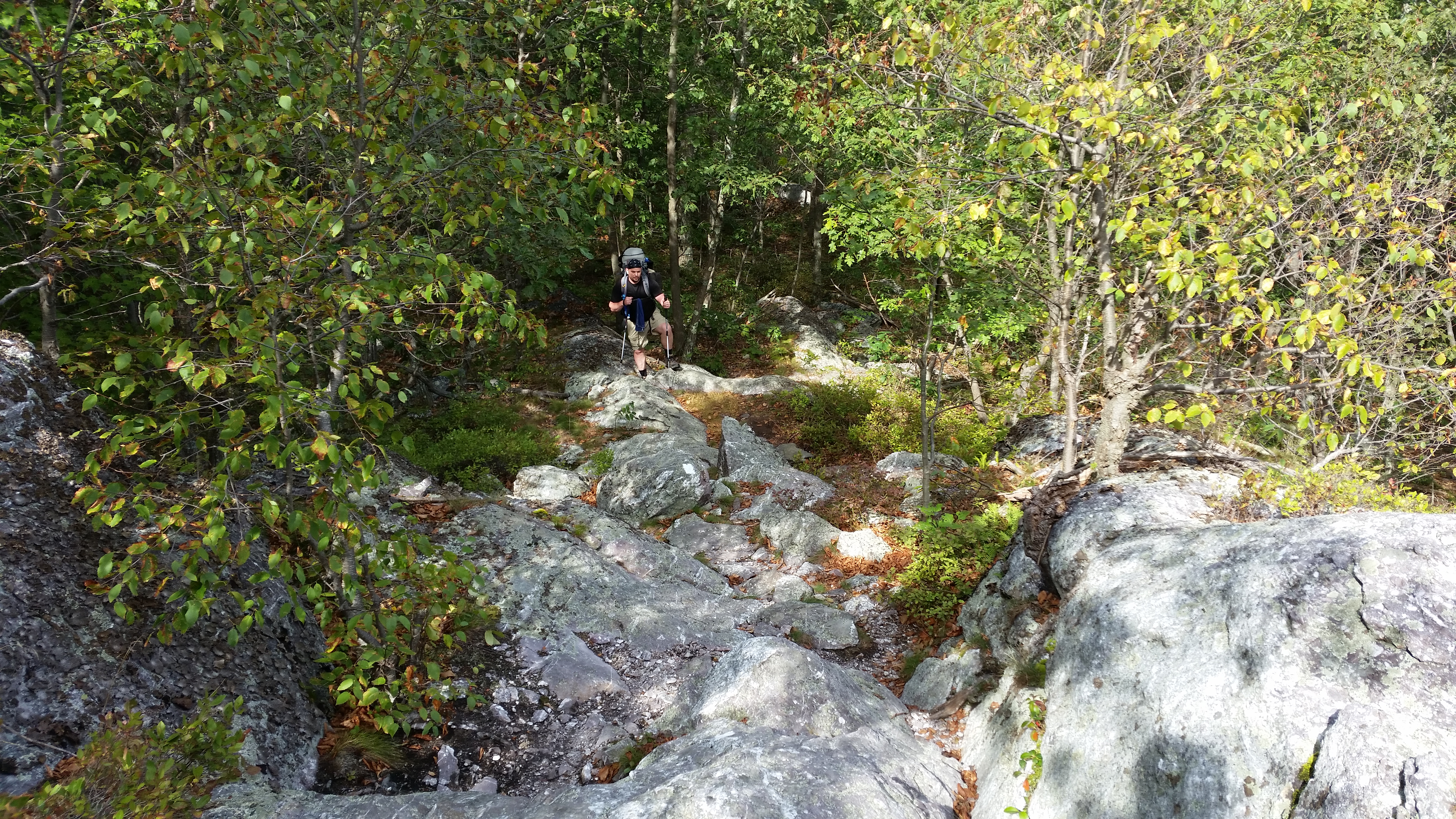 Boulder Field