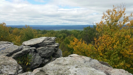 Great Views!