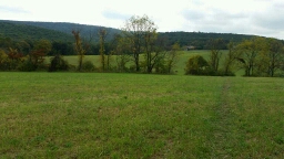 Cumberland Valley, PA