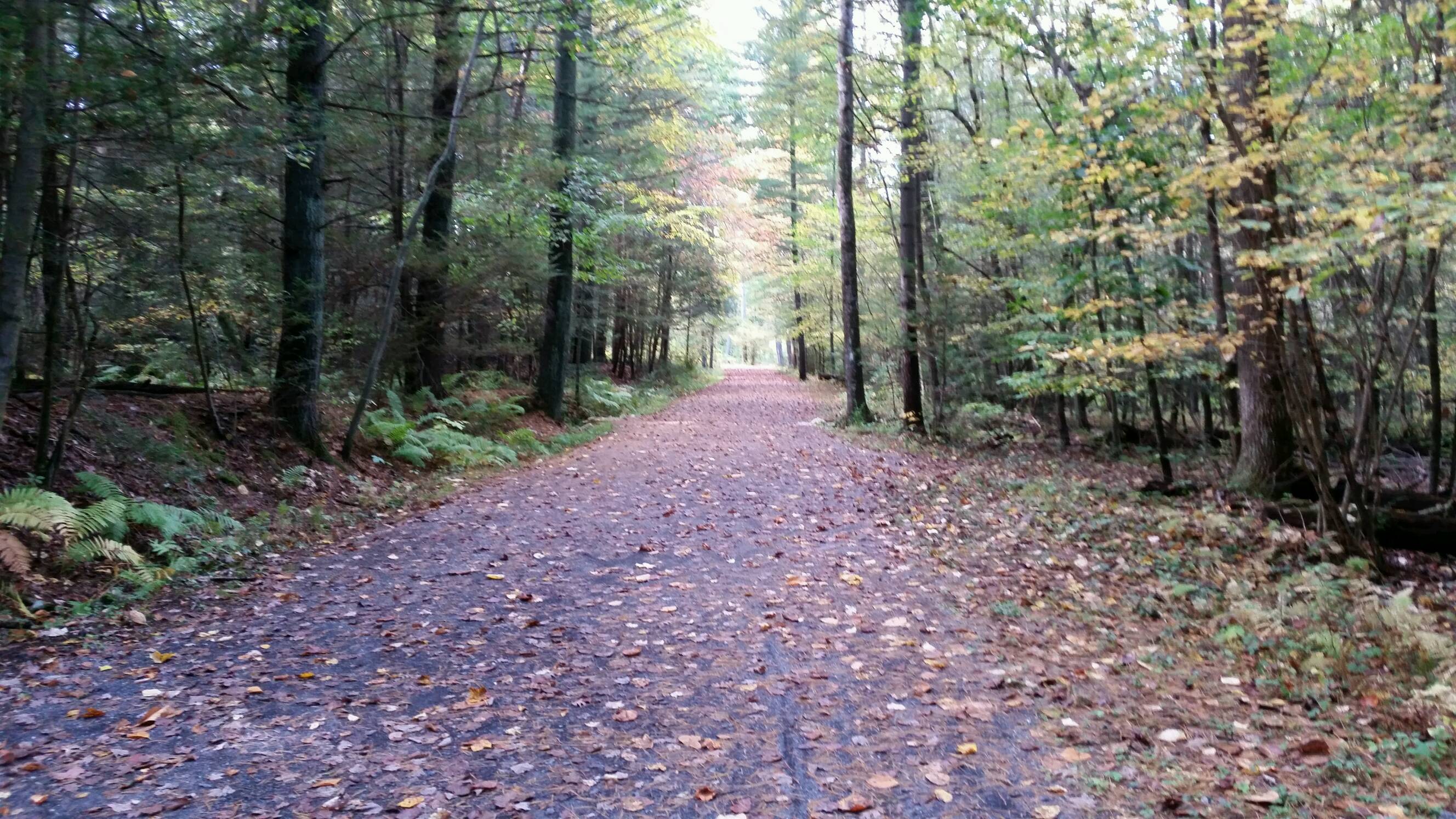 Nice road