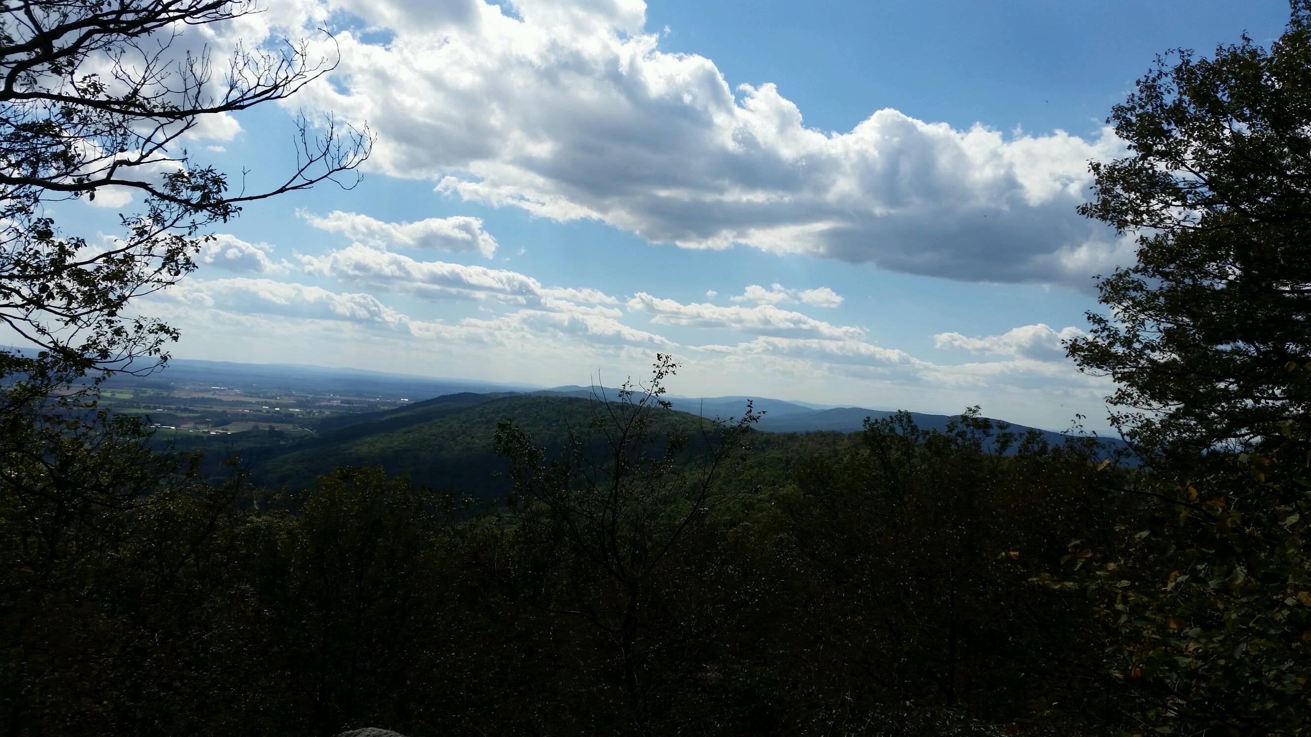 Lunchtime View