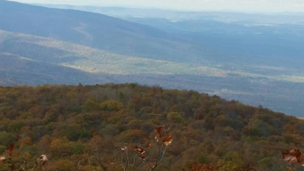 More Fall Pictures