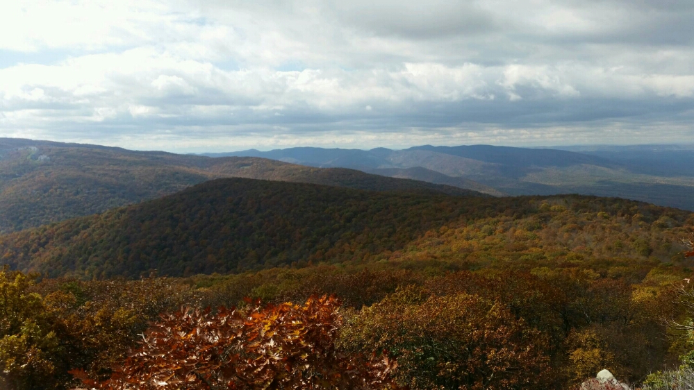 More Fall Pictures